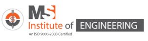 MS Institute Logo